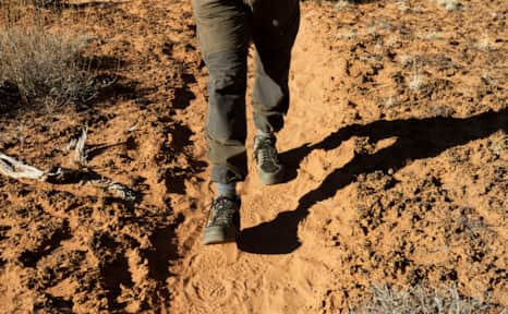 Utah’s cryptobiotic soils — composed of algae, cyanobacteria and microfungi — help protect its desert landscape from erosion. Avoid damaging the fragile soil by staying on marked trails and roads and using existing campsites.
