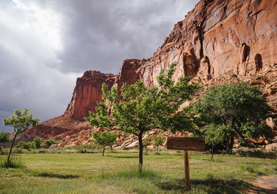 Fruita Orchard in Capitol Reef National Park