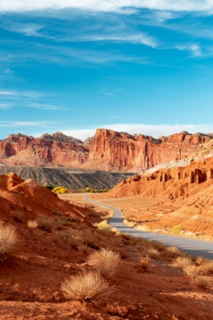 Capitol-Reef-National-Park_MTJP_More-Than-Just-Parks_Will-Pattiz_2020