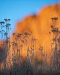 Capitol Reef Chimney Rock