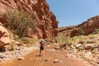 Capitol-Reef_Goosenecks-2_Goldsberry-Clark_2020