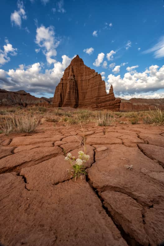 Capitol Reef's northern Cathedral District features stark landscapes and much solitude.