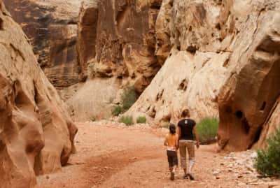 Capitol Reef National Park