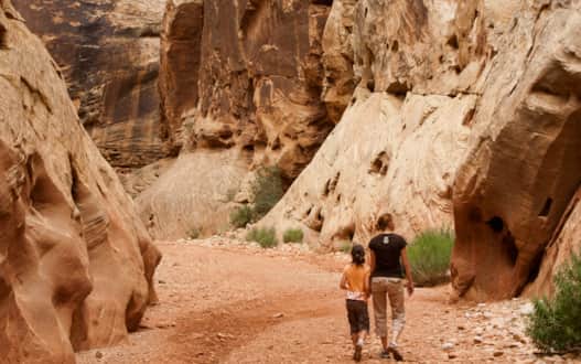 Grand Wash Trail in Capitol Reef National Park