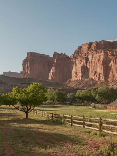 Capitol Reef