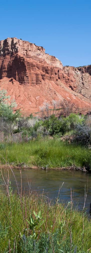 Capitol Reef National Park