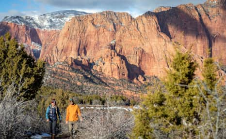 time to visit zion national park