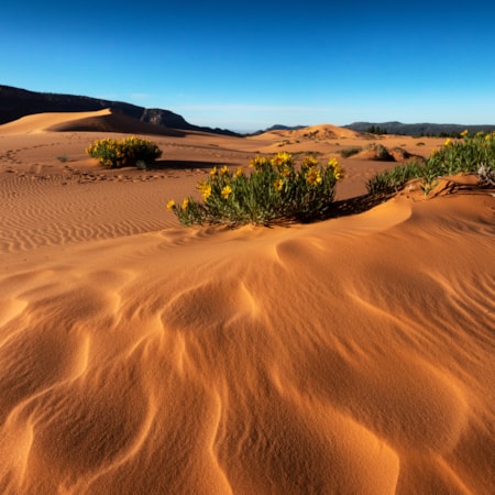 Winter's Summits and Rockscapes | Visit Utah