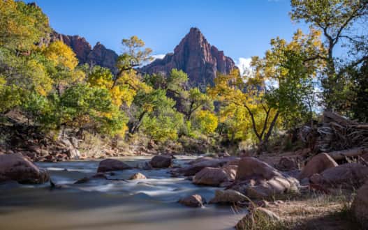 The incredible contrast in Zion National Park.