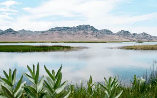 FishSprings_Great-Basin-Desert-Tour_100_a