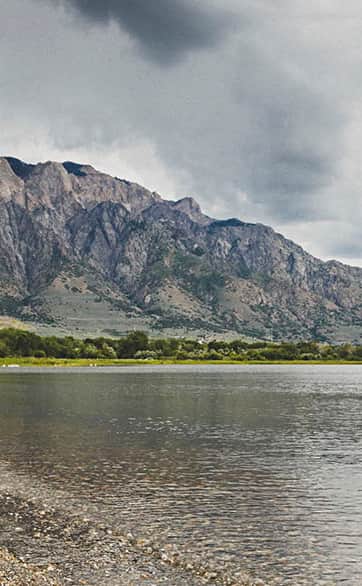 header_larevalo_willard_0615_0031