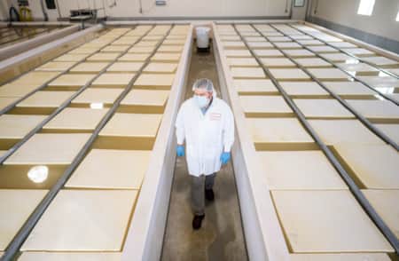 A worker wearing protective gear walks between large vats of cheese curds in a dairy processing facility.