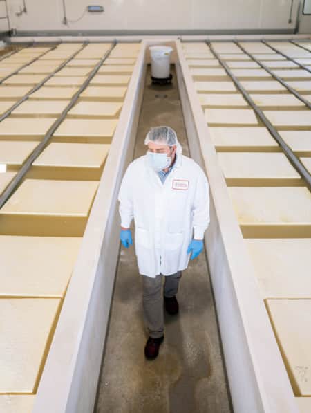 A worker wearing protective gear walks between large vats of cheese curds in a dairy processing facility.
