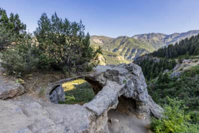 Logan Canyon