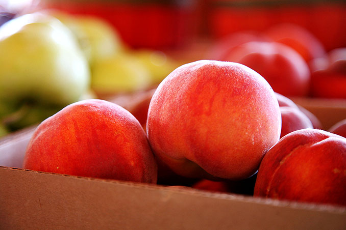 peaches-fruit-way-img_7026