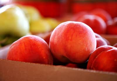 peaches-fruit-way-img_7026