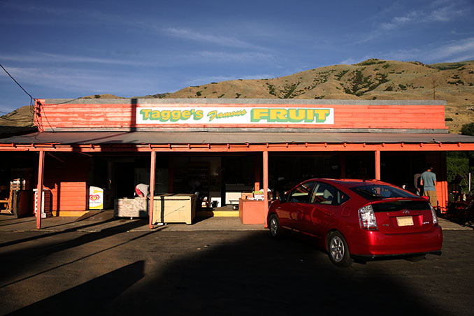 tagges-fruit-way-img_7236