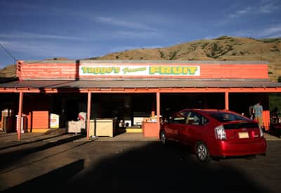 tagges-fruit-way-img_7236