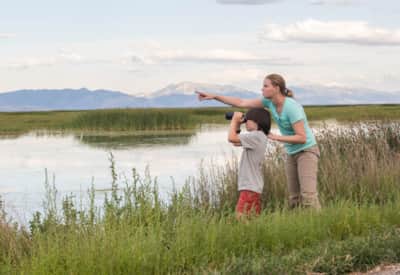 Home to more than 200 bird species, including North America’s largest pelican colony, the Bear River Migratory Bird Refuge is an environmental gem in Northern Utah that often gets overlooked.