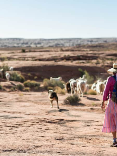 monument valley tourist information