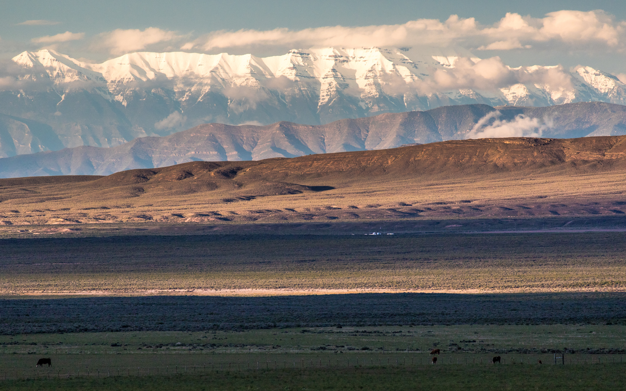 web2000_ericerlenbusch_delta20150526-img_2696_