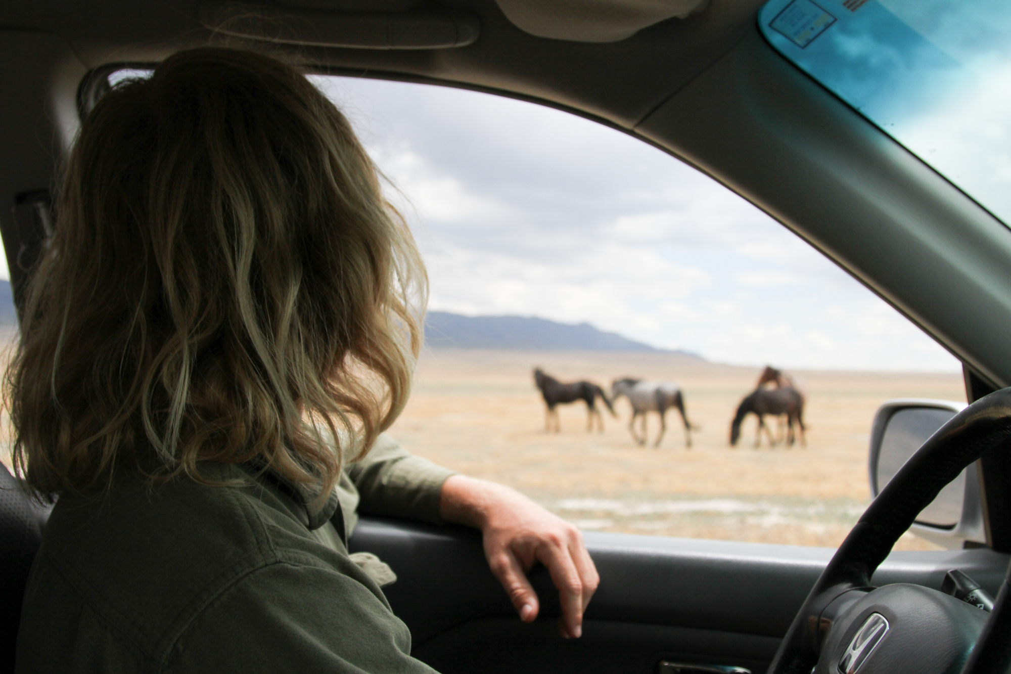 web2000_rosieserago_delta_great-basin-wild-horses_serago10_