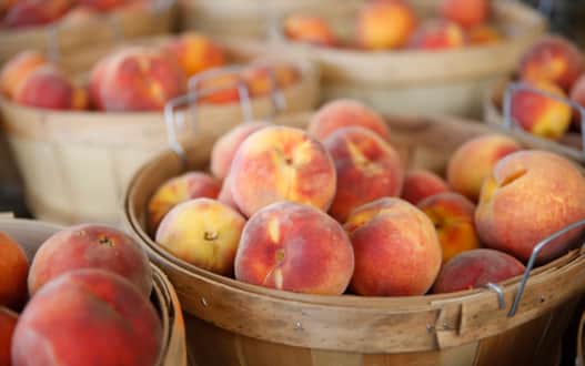 It is well-known throughout the state of Utah that the best
summer peaches are grown and harvested in Brigham City.