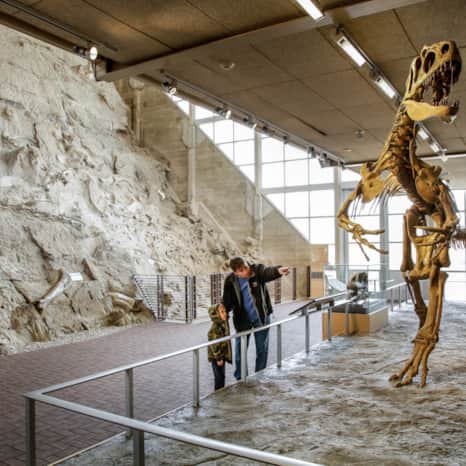 The quarry at Dinosaur National Monument is home to one of the largest collections of dinosaur bones in the world.