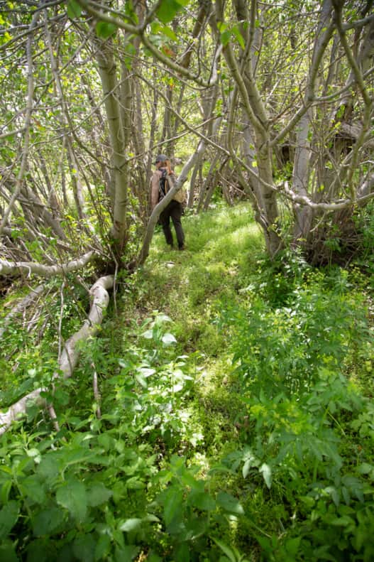 Here there are no signs of arrival, no instructions or waypoints, just a faint trail following a ditch of water.