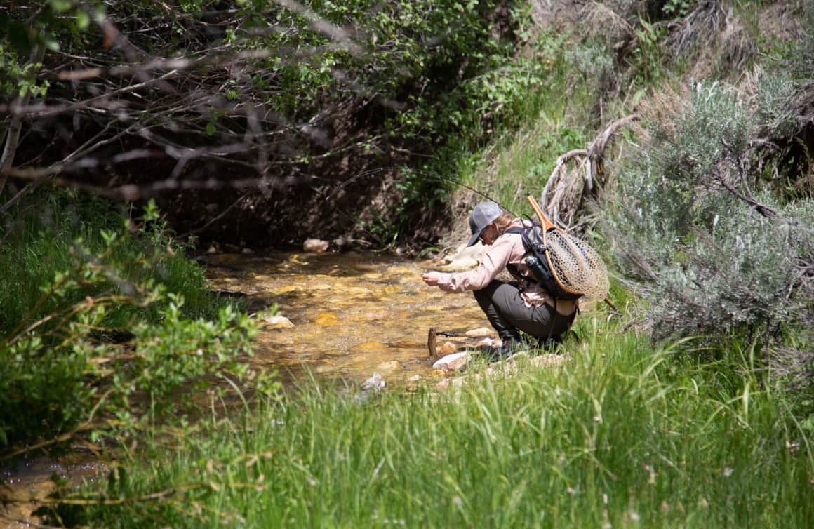 Because of the remote nature and small water of the Raft River Mountains, the Yellowstone is considered the most challenging catch of Utah’s Cutthroat Slam.