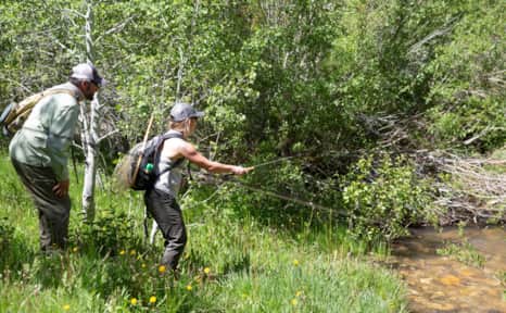 My audience is right there with me, driven by anxiety and excitement.