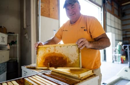 A man in a warehouse holding up a honeycomb frame from a beehive, with raw honey dripping from it.