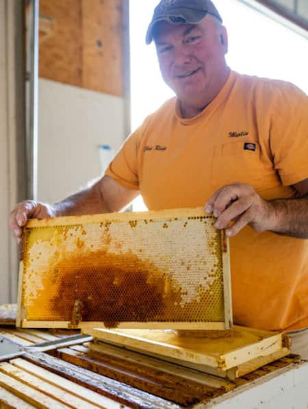 A man in a warehouse holding up a honeycomb frame from a beehive, with raw honey dripping from it.