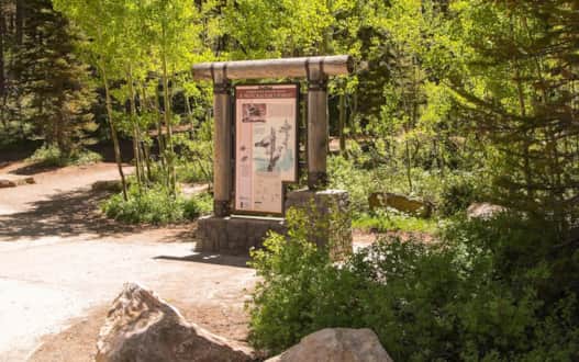 Along the route, you'll find trailside interpretive signs detailing surrounding plants and animals.