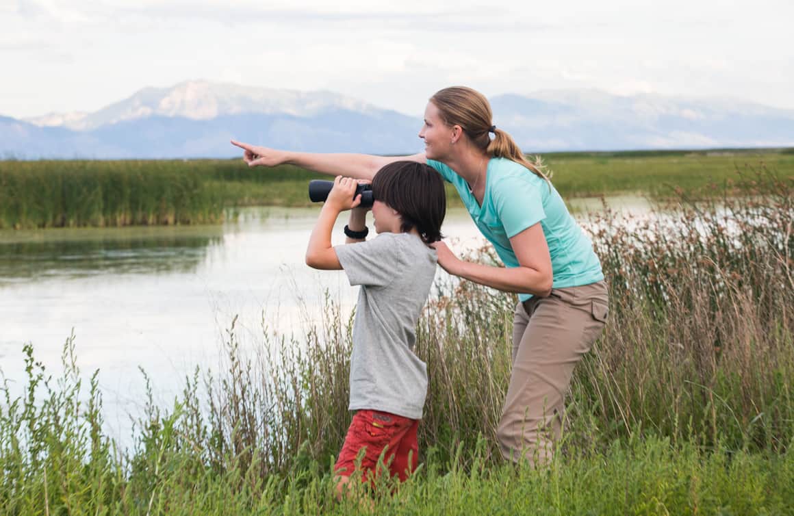 Bear River Migratory Bird Refuge