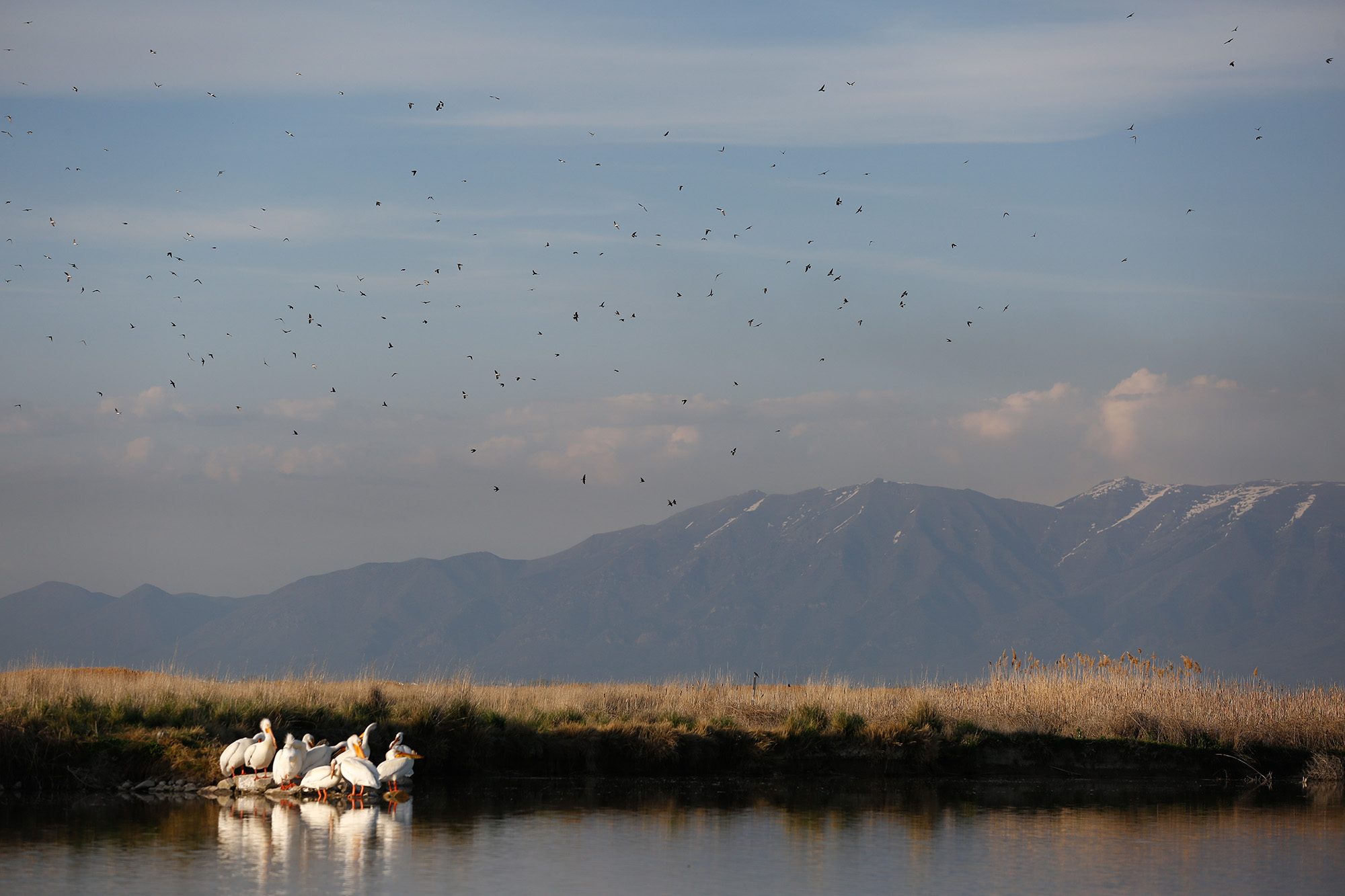 A serene late afternoon scene along the 36-mile Auto Tour Route at Bear River Migratory Bird Refuge.