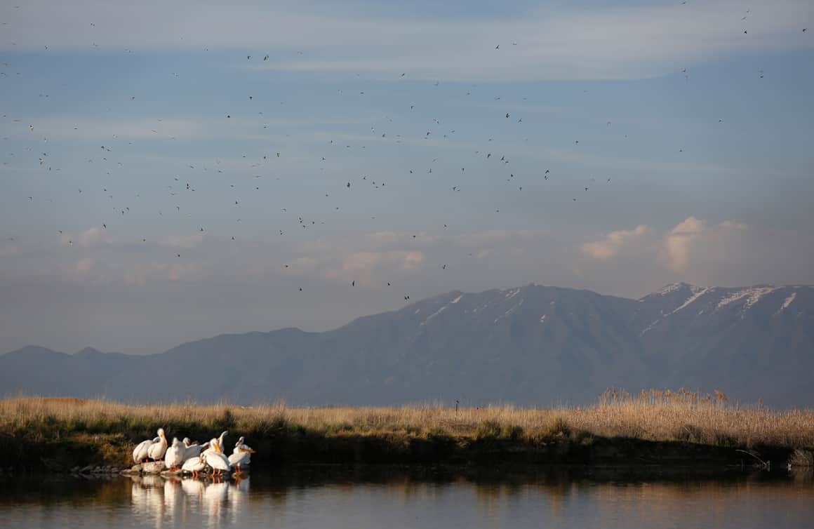 A serene late afternoon scene along the 36-mile Auto Tour Route at Bear River Migratory Bird Refuge.
