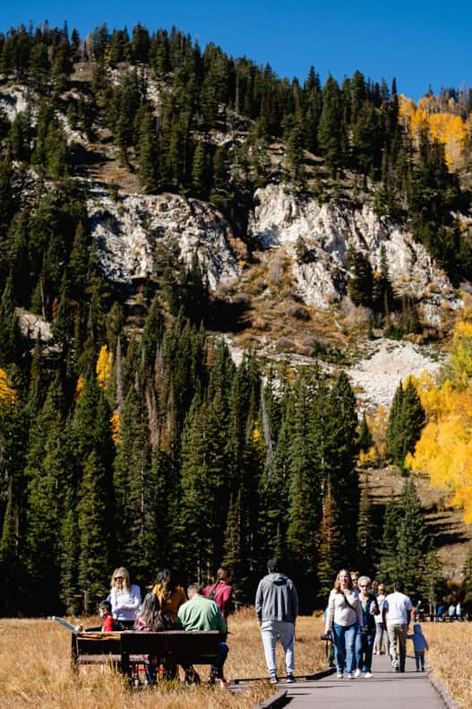Leaf peeping alert! Plan a day trip in September or October to Guardsman Pass, which boasts ample fall foliage.