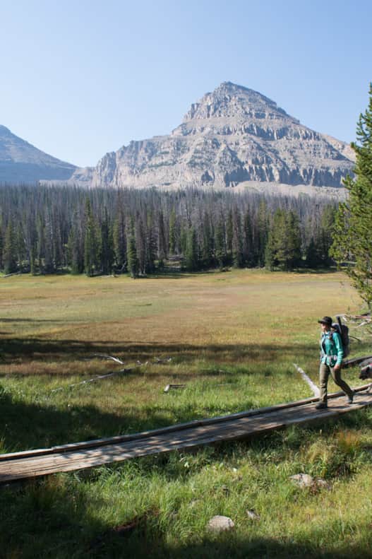 Utah’s forests offer endless amounts of recreational activity. Learning how to visit responsibly will enhance your overall experience.