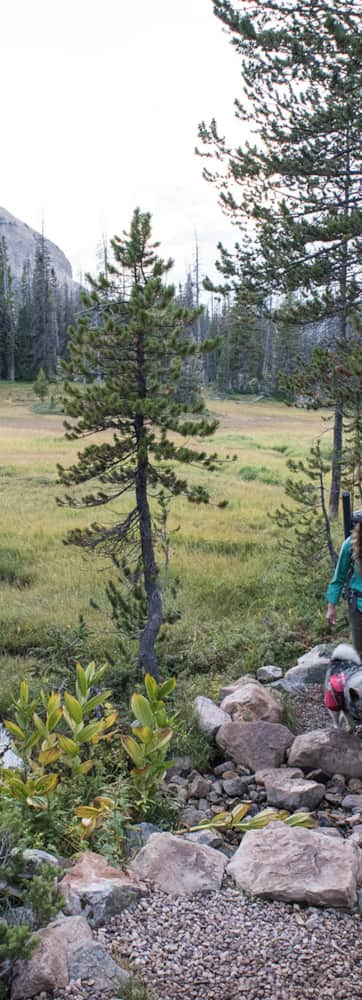 High-Uintas-Wilderness_Hiking_Hage_2017