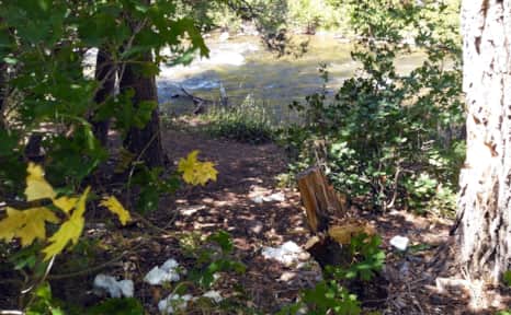 Never leave toilet paper in a cat hole or on the ground — no one wants to see a Charmin flower in the woods.