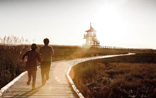 Bring a picnic to enjoy in the open-air pavilion at the center of the Great Salt Lake Shorelands Preserve.