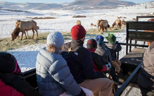 Access to hiking and wildlife viewing abound at the Hardware Wildlife Education Center.