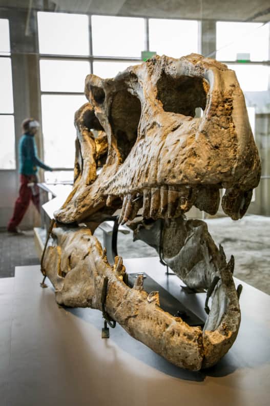 Within an 80-mile radius of Vernal, evidence of the entire Earth's history is visible. At its center is the Utah Field House of Natural History State Park Museum, which gives visitors a virtual tour of our planet’s ancient history.