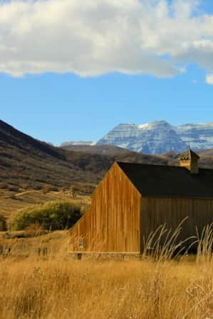 A wooden barn in a field of tall grass, set against snow-capped mountains.