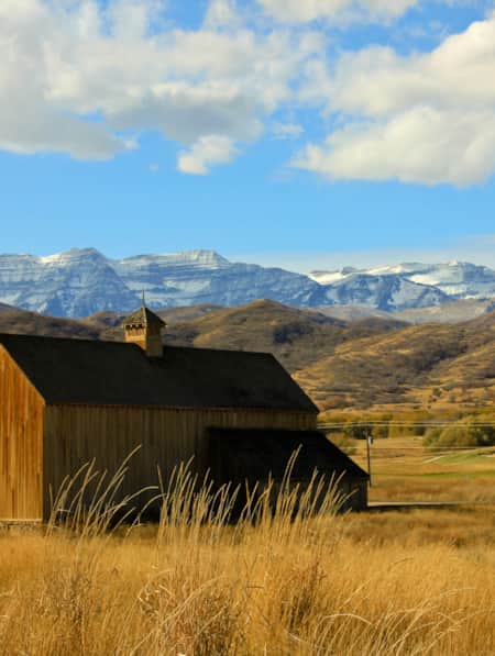 A wooden barn in a field of tall grass, set against snow-capped mountains.