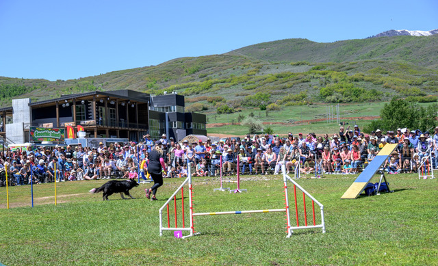 Soldier Hollow Classic Sheepdog Championship & Festival