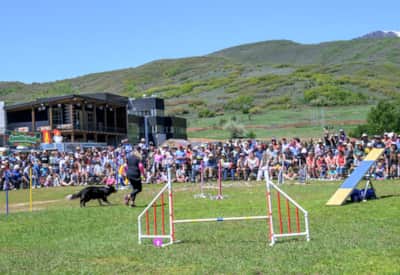 Soldier Hollow Classic Sheepdog Championship & Festival