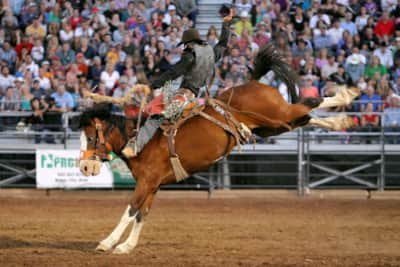 The Mountain Valley Stampede Rodeo is always the first weekend in August.