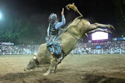 The roar of the crowd, the buck of the bull – experience the excitement of bull riding at the Strawberry Days Rodeo in Pleasant Grove.